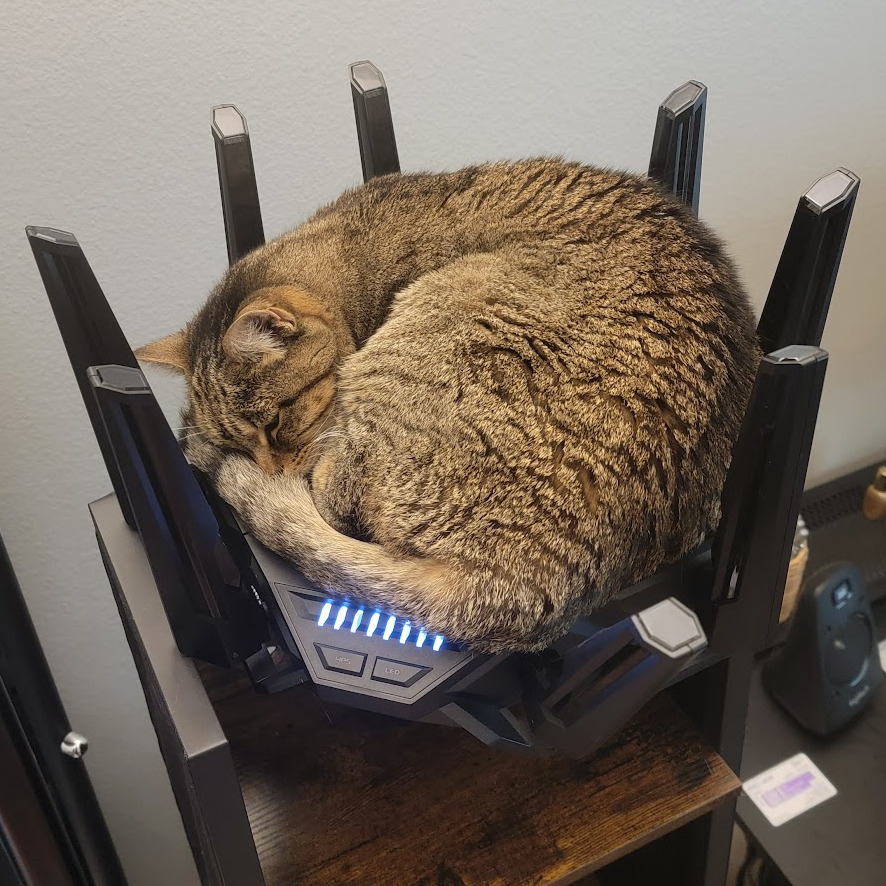 Cat Icon